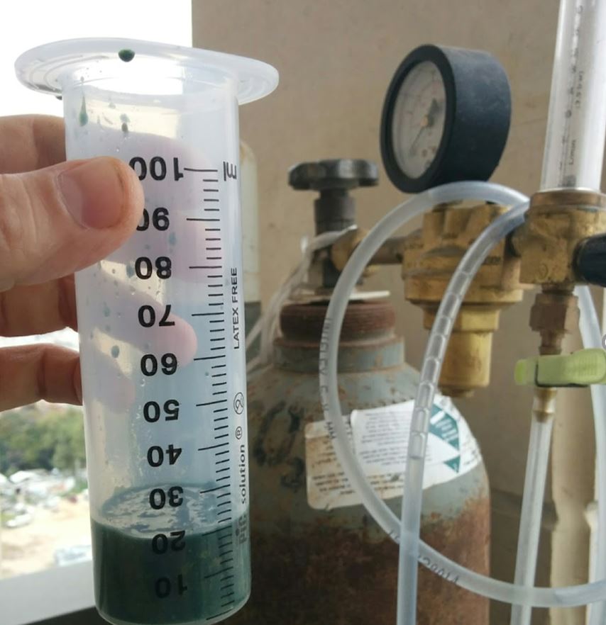 Spirulina algae harvested from a bioreactor